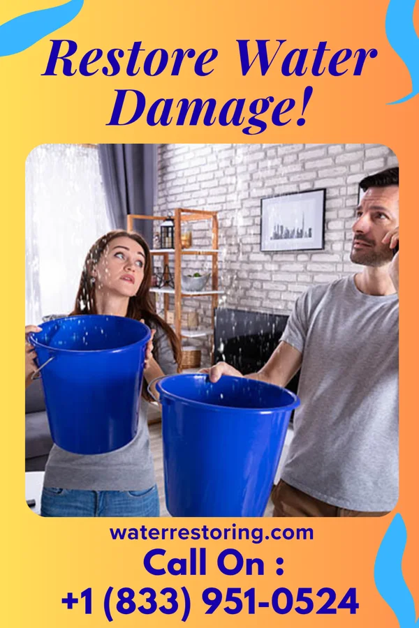 water restoration Citywide Emergency Restoration Authority Dennisville